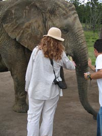 touching_elephant.jpg